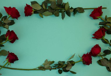 Renk arkaplanındaki uzay güllerini kopyalayan tebrik kartı şablonu