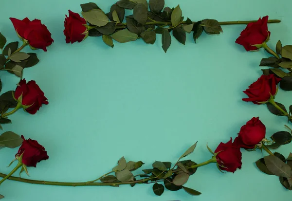 Renk arkaplanındaki uzay güllerini kopyalayan tebrik kartı şablonu