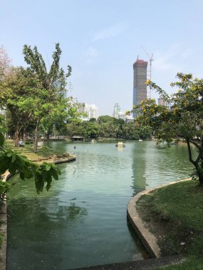 Bangkok, Tayland - 9 Şubat 2020: Tayland 'ın Bangkok kentindeki Lumphini Parkı