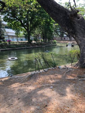 Bangkok, Tayland - 9 Şubat 2020: Tayland 'ın Bangkok kentindeki Lumphini Parkı