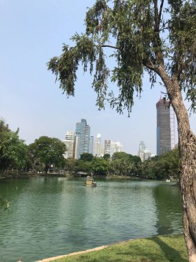 Bangkok, Tayland - 9 Şubat 2020: Tayland 'ın Bangkok kentindeki Lumphini Parkı