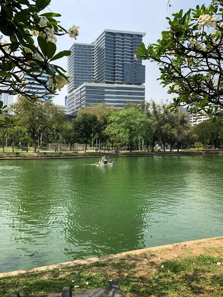 Bangkok Tajlandia Lutego 2020 Lumphini Park Centrum Bangkoku Tajlandii Oczami — Zdjęcie stockowe