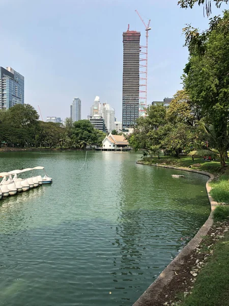 Bangkok Tajlandia Lutego 2020 Lumphini Park Centrum Bangkoku Tajlandii Oczami — Zdjęcie stockowe