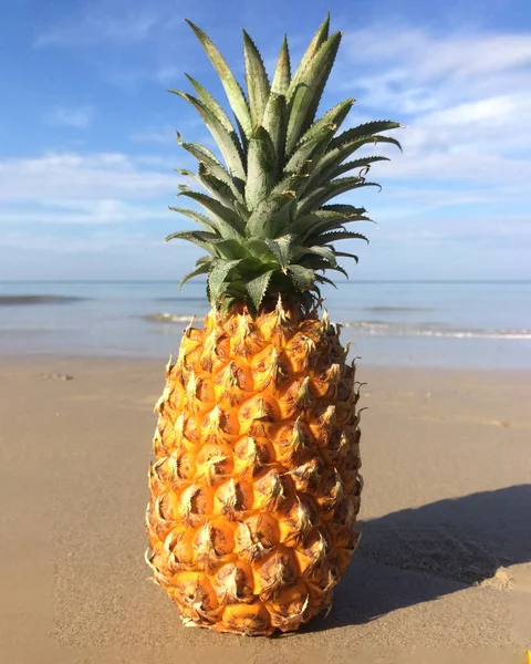 Zdjęcia Ananasa Tle Morza Plaży Tajlandii — Zdjęcie stockowe