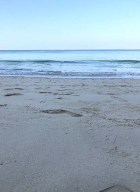 Tayland 'daki Phuket adasında sahil ve palmiye ağaçları