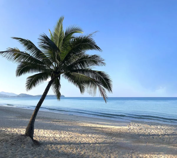 Praia Palmeiras Ilha Phuket — Fotografia de Stock