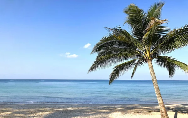 Praia Palmeiras Ilha Phuket Tailândia — Fotografia de Stock