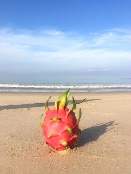 Fotoğraf Ejderhası meyvesi Tayland sahilinde denizin arka planında