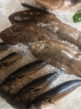 Süpermarketteki taze balığın fotoğrafı.