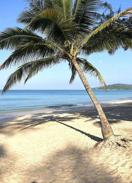 Praia Palmeiras Ilha Phuket Tailândia — Fotografia de Stock