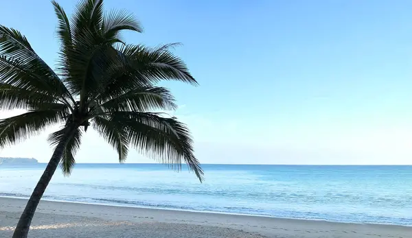 Praia Palmeiras Ilha Phuket Tailândia — Fotografia de Stock