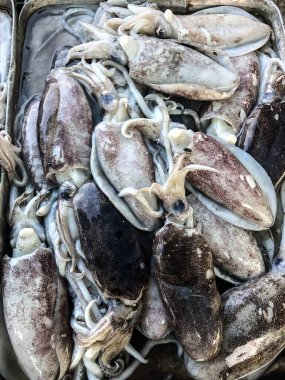 Süpermarkette taze deniz ürünleri fotoğrafı.