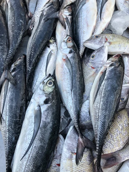 Foto Von Frischem Fisch Auf Der Ladentheke Supermarkt — Stockfoto