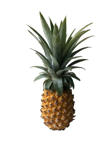 Photo Pineapple White Background Isolate Cut — Stock Photo, Image