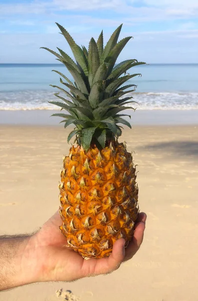 Fotos Von Ananas Vor Dem Hintergrund Des Meeres Strand Thailand — Stockfoto