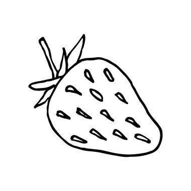 Beyaz arka plan çileği, Stock Illustration, vektör, el çizimi, baskı, hatıra defteri, kartpostal tasarımı için tasarım öğesi