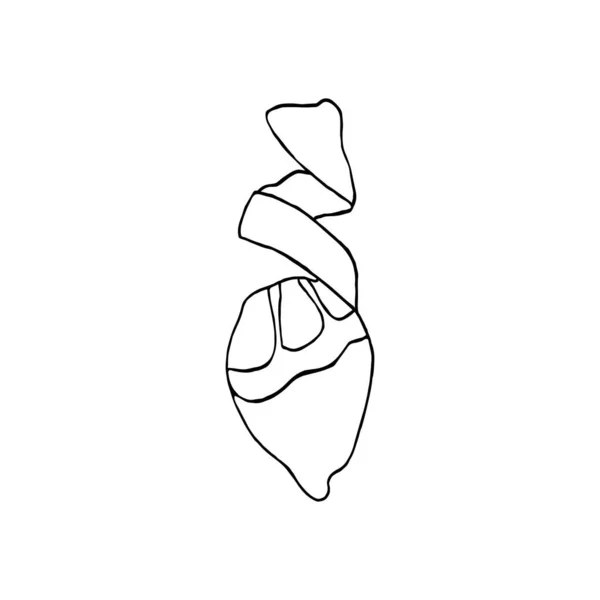 Ізольовані Білому Фоні Лимонний Малюнок Стокова Ілюстрація Векторний Елемент Дизайну — стоковий вектор