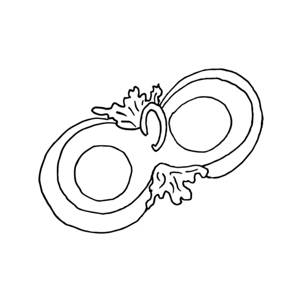 Geïsoleerd Wit Porselein Voorraad Illustratie Vector Handtekening Design Element Ware — Stockvector