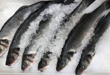 Süpermarkette bir sürü taze balık var.