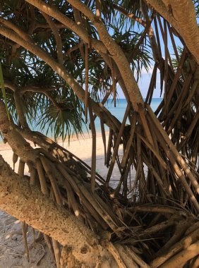 Bang Tao Sahili Tayland 'da okyanus kıyısında