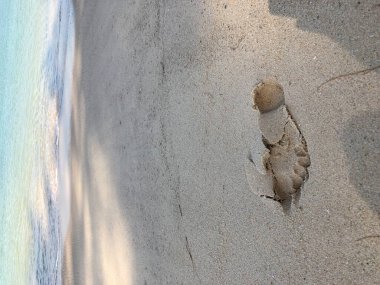 arka plan, kum dokusu, kumdaki ayak izleri.