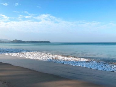 Tayland 'daki Phuket adasında sahil ve palmiye ağaçları