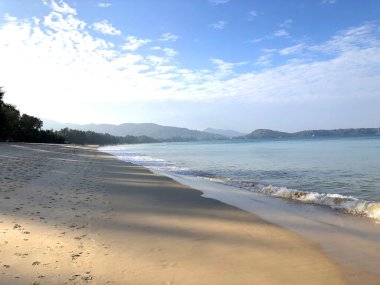 Tayland 'daki Phuket adasında sahil ve palmiye ağaçları