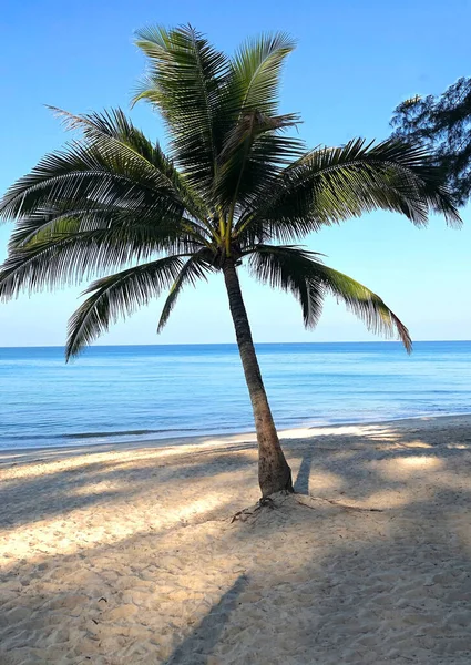 Praia Palmeiras Ilha Phuket — Fotografia de Stock