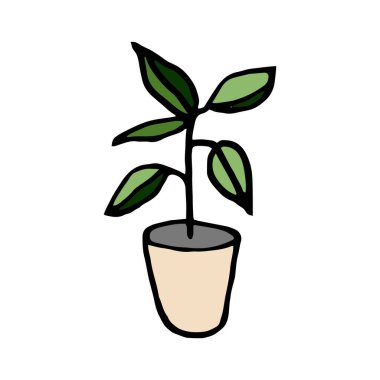 Beyaz arka plan fidelerine izole edilmiş bir vazoda bitki çizimi, el çizimi, karalama, vektör.