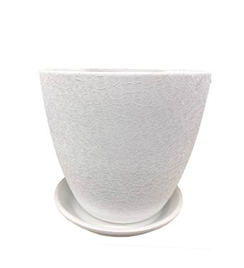 Beyaz arka plandaki saksılarda izole edilmiş.