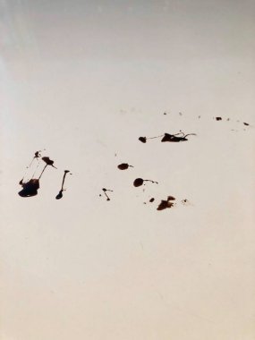 Beyaz arka planda çikolata damlalarının fotoğrafı