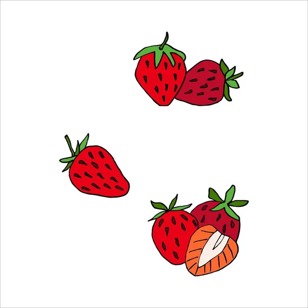 Isoliert Auf Weißem Hintergrund Erdbeere Stock Illustration Vektor Handzeichnung Gestaltungselement — Stockvektor