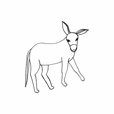 Beyaz arka plan eşeğine el çizimi