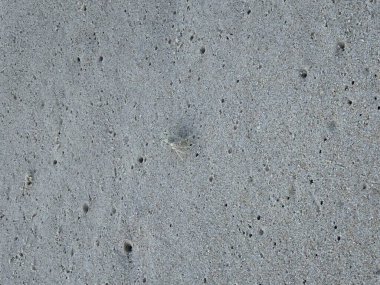 Tayland 'daki Phuket adasında sahil ve palmiye ağaçları