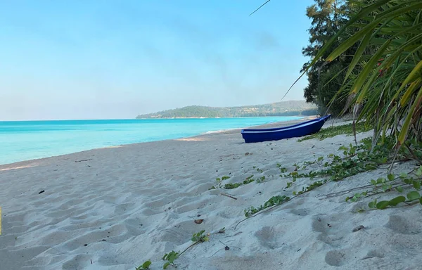 Praia Palmeiras Ilha Phuket Tailândia — Fotografia de Stock