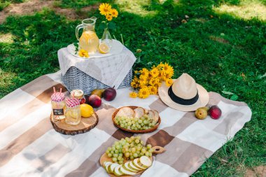 Yazın elma bahçesinde piknik.