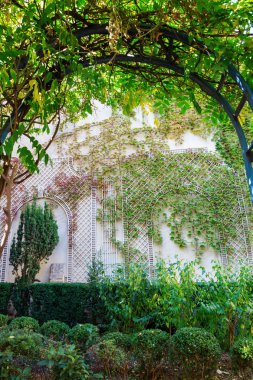 bir duvar manzaralı kemer