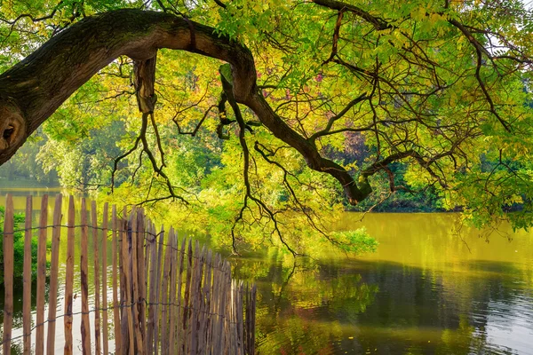 Foule de gens réfléchissant dans une flaque d'eau — Photo