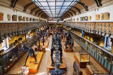 Paleontoloji Galeri ve Paris karşılaştırmalı anatomi hayvanların iskeletleri