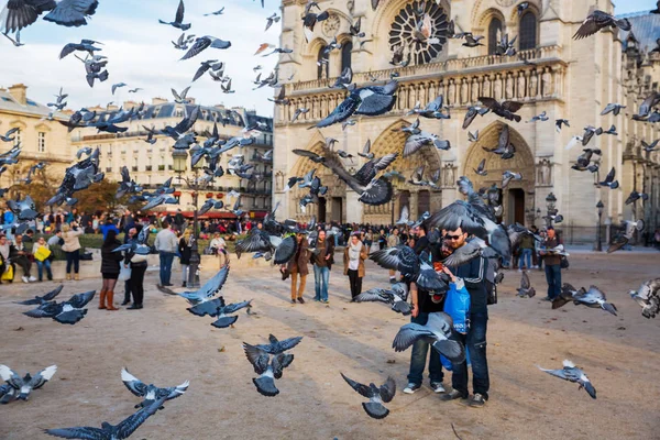 Palomas y turistas frente a la Notre Dame de Paris — Foto de Stock