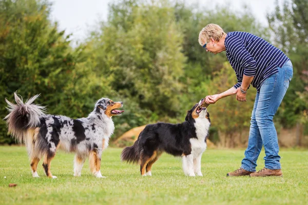 Mulher treina com dois cães — Fotografia de Stock