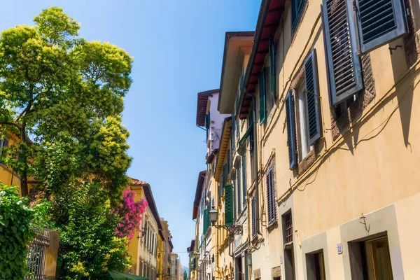 Antiguidades em Lucca, Italia — Fotografia de Stock