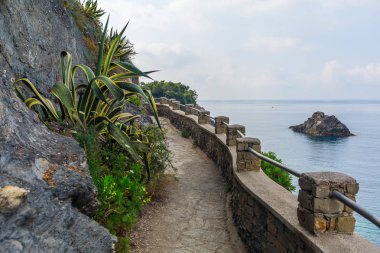 kıyı yolu, Cinque Terre, İtalya