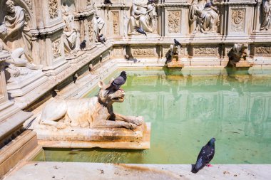 Çeşme Fonte Gaia Siena, İtalya