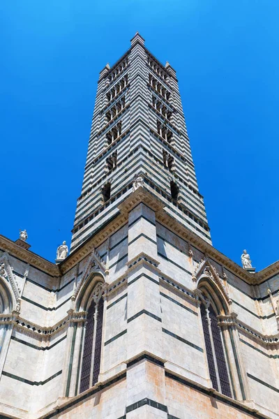 Siena kathedrale in siena, italien — Stockfoto