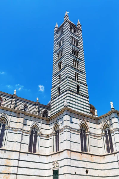 Kathedraal van Siena in siena, Italië — Stockfoto