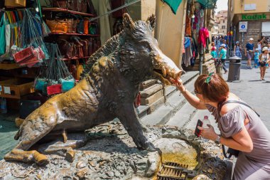 Bronz çeşme Il Procellino Floransa, İtalya