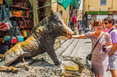 Bronz çeşme Il Procellino Floransa, İtalya