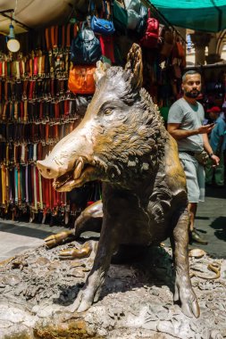 Bronz çeşme Il Procellino Floransa, İtalya