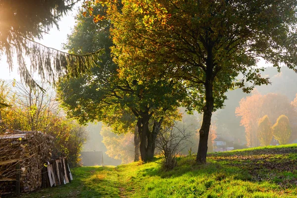 Sonbahar renkleri ile kırsal manzara — Stok fotoğraf